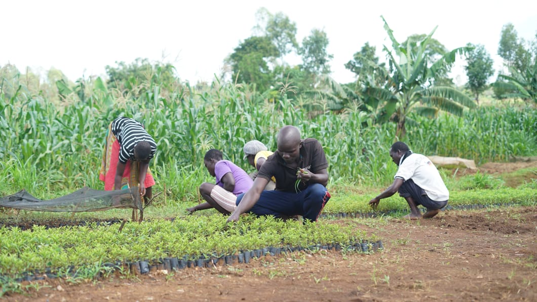 Youth-Led Tree Planting Initiative Restores Local Watershed
